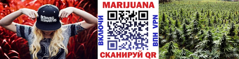 OMG вход  магазин продажи наркотиков  Котельники  Канабис Ganja 
